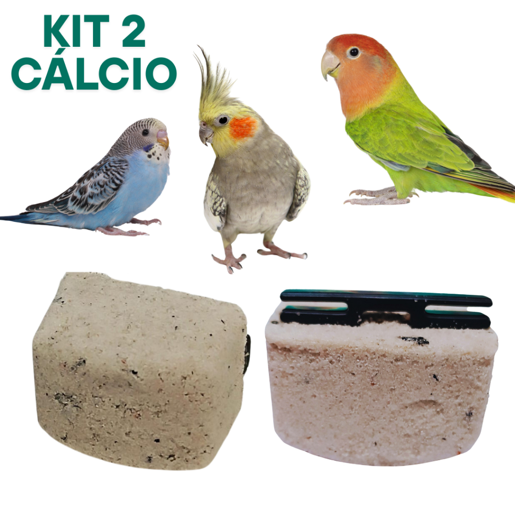 kit 2 Pedra de Cálcio +2 pratinhos passaro calcio Calopsita,ring neck,papagaio,Periquito, gaiola