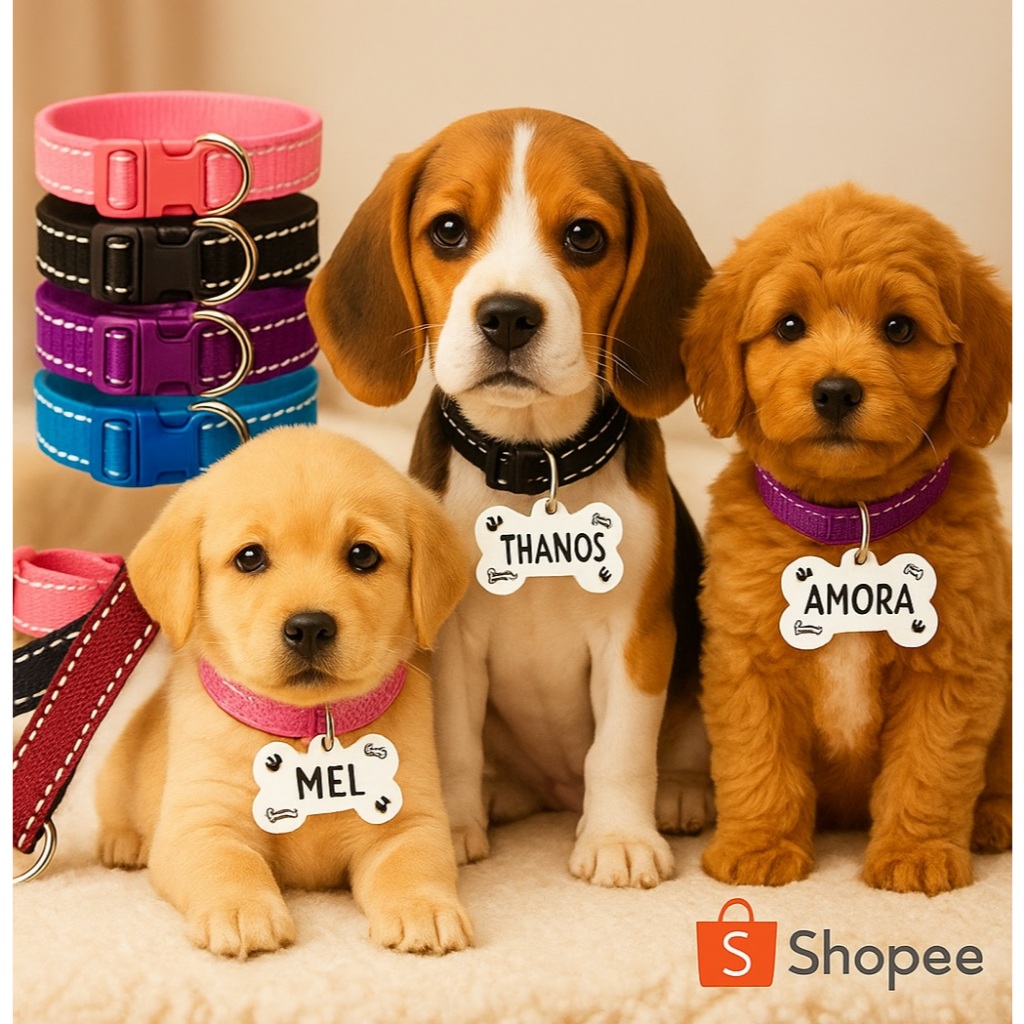 Coleira para cachorro e gato com plaquinha de identificação