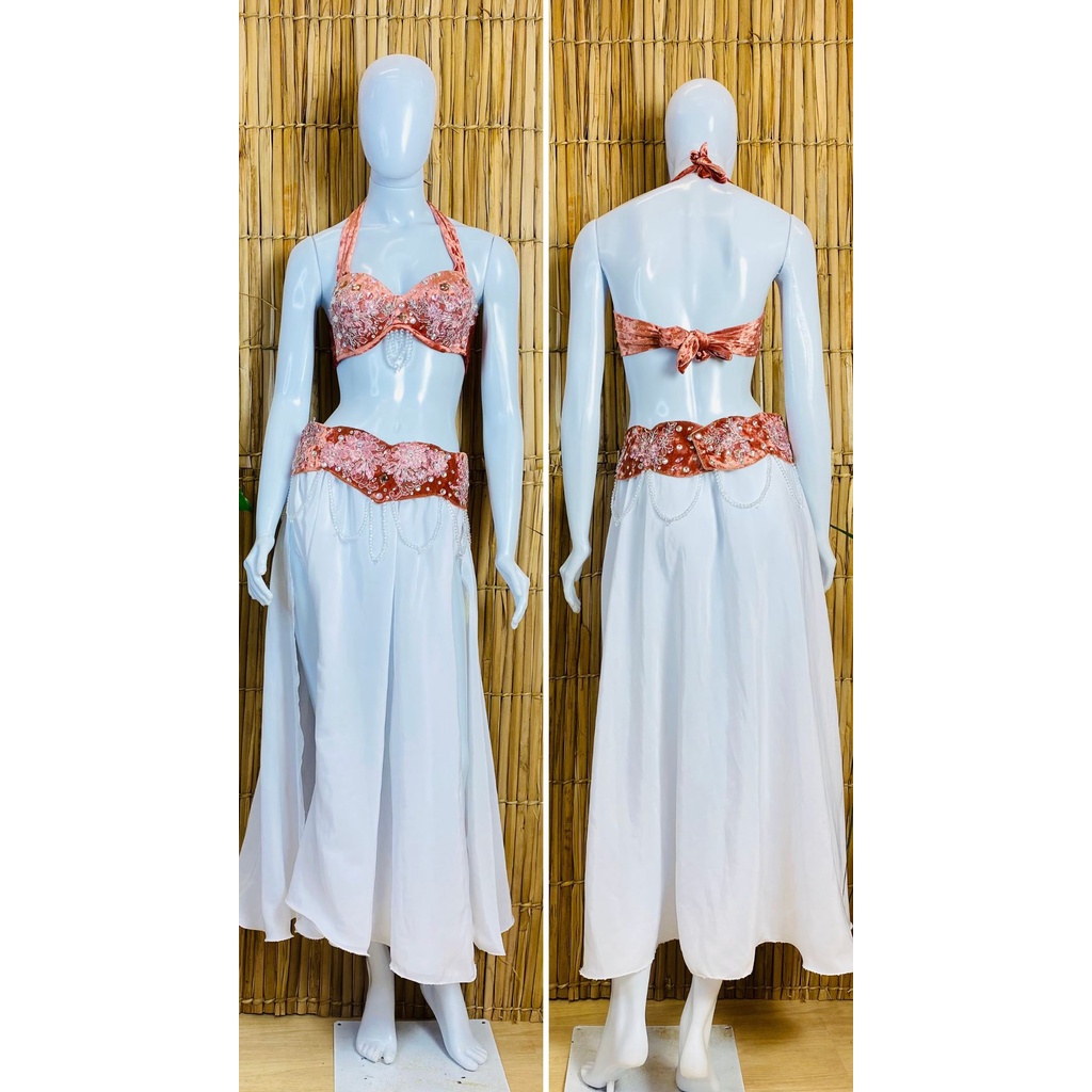 [Liquidação] Dança do Ventre Traje Bordado Completo- Pronta Entrega – TPCL-494
