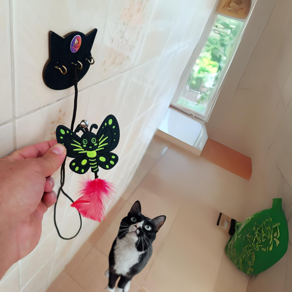 brinquedos para gatos porta chaves gato pet interativo e moderno borboleta cat