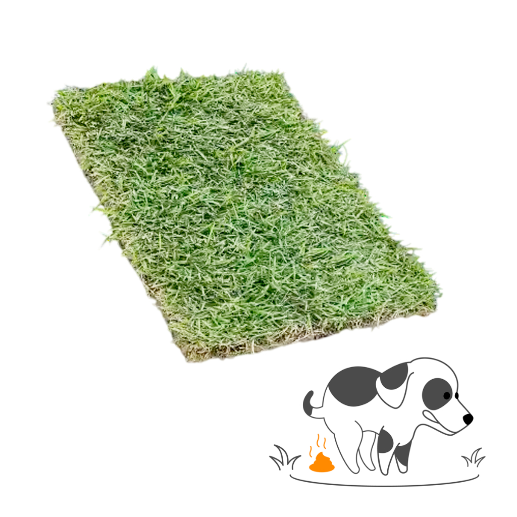 Refil Tapete Higiênico Grama Natural Pet 40x30cm