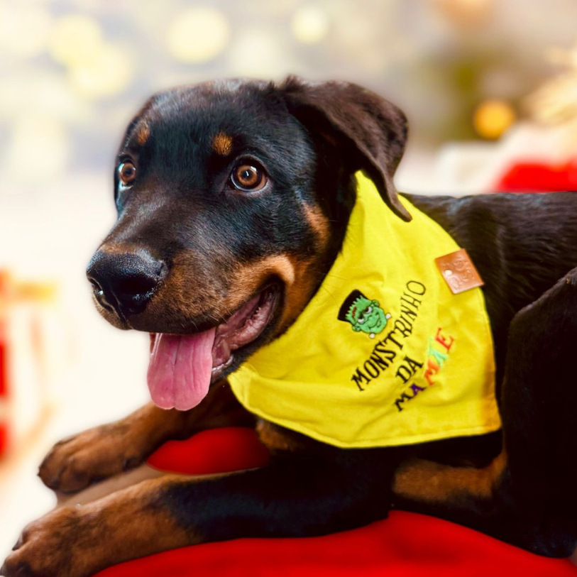 Bandana para pet com bordado mostrinho da mamãe