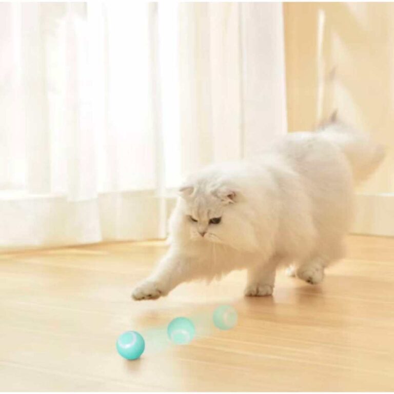 Brinquedo Gato Bola Elétrica Automática com Rota