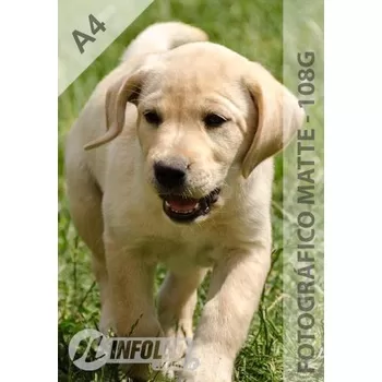 Papel Fotográfico A4 Matte Fosco 108g – 100