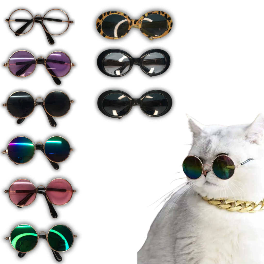 Óculos de Sol Para Pet Cachorro Gato Diversas Cores e Modelos Divertido