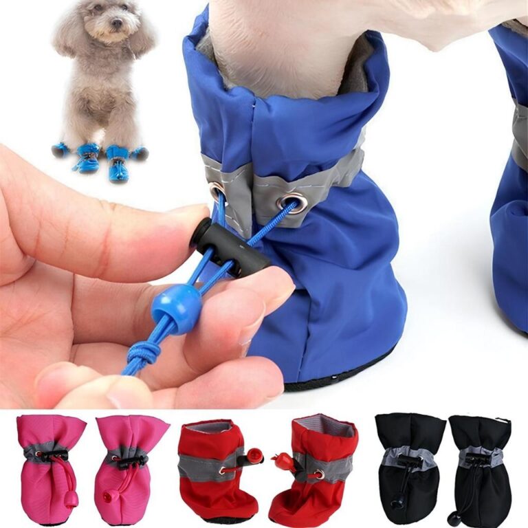 Sapatinho Cachorro Bota Ajustável Pet Sapato Cãe