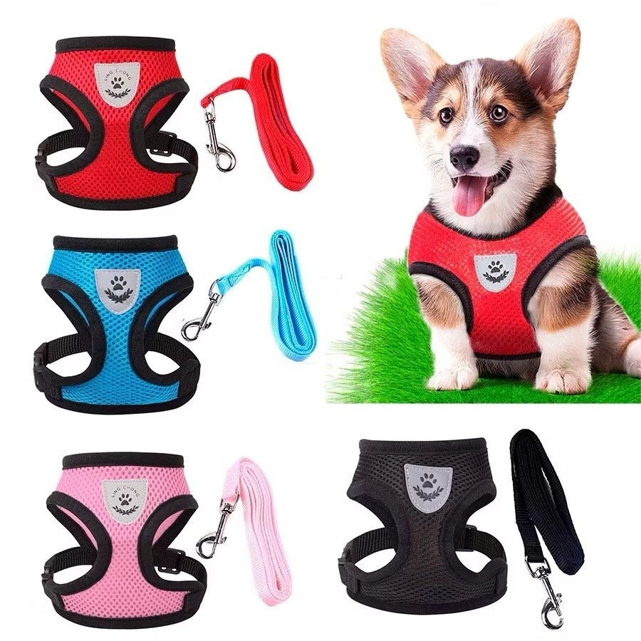 Coleira Peitoral Cachorro e Gato ( 10PÇS ) Refletivo conjunto com Guia e Ajustável e Resistente