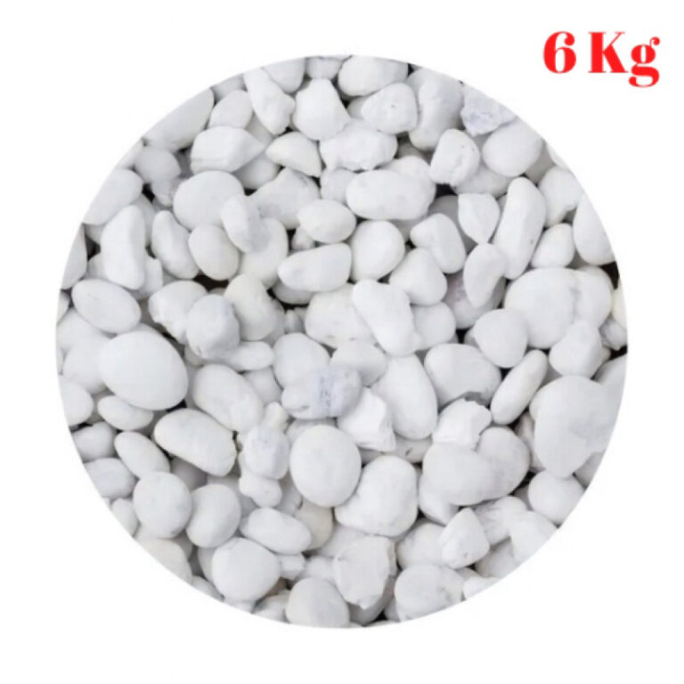6kg Pedra Seixo para Jardim branca dolomita polido