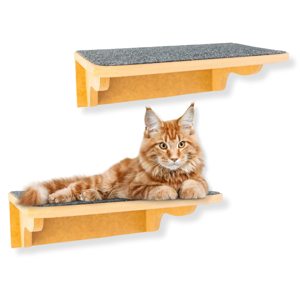 Prateleiras Para Gatos MDF 15mm REFORÇADO Tamanho G 2peças com Carpete