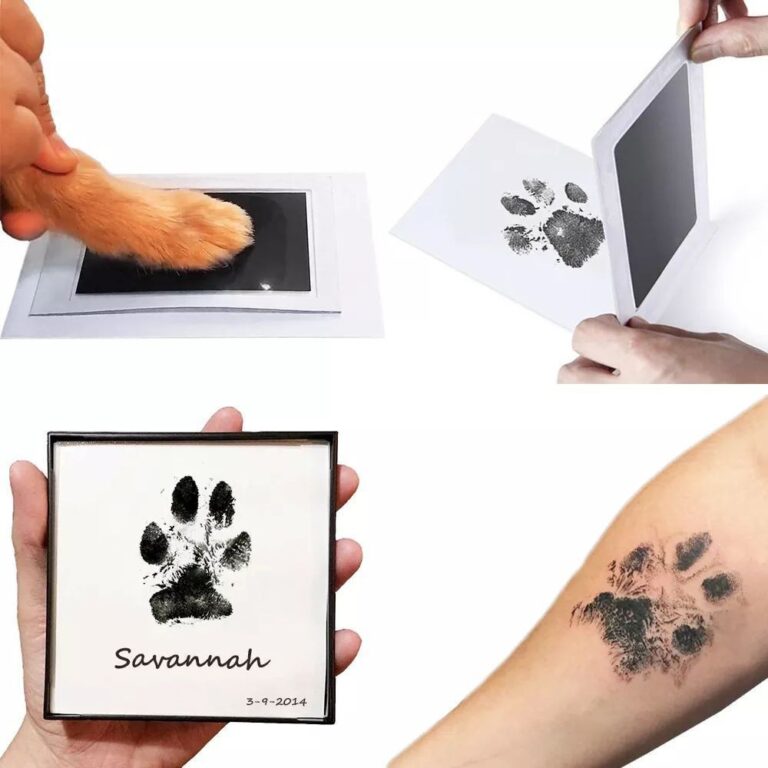 Carimbo Patinha Pet Lembrança Patinha Cachorro Ga