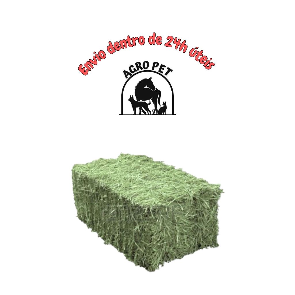 2kg Feno Premium para Porquinho da India Coelho / fabricacao artesana