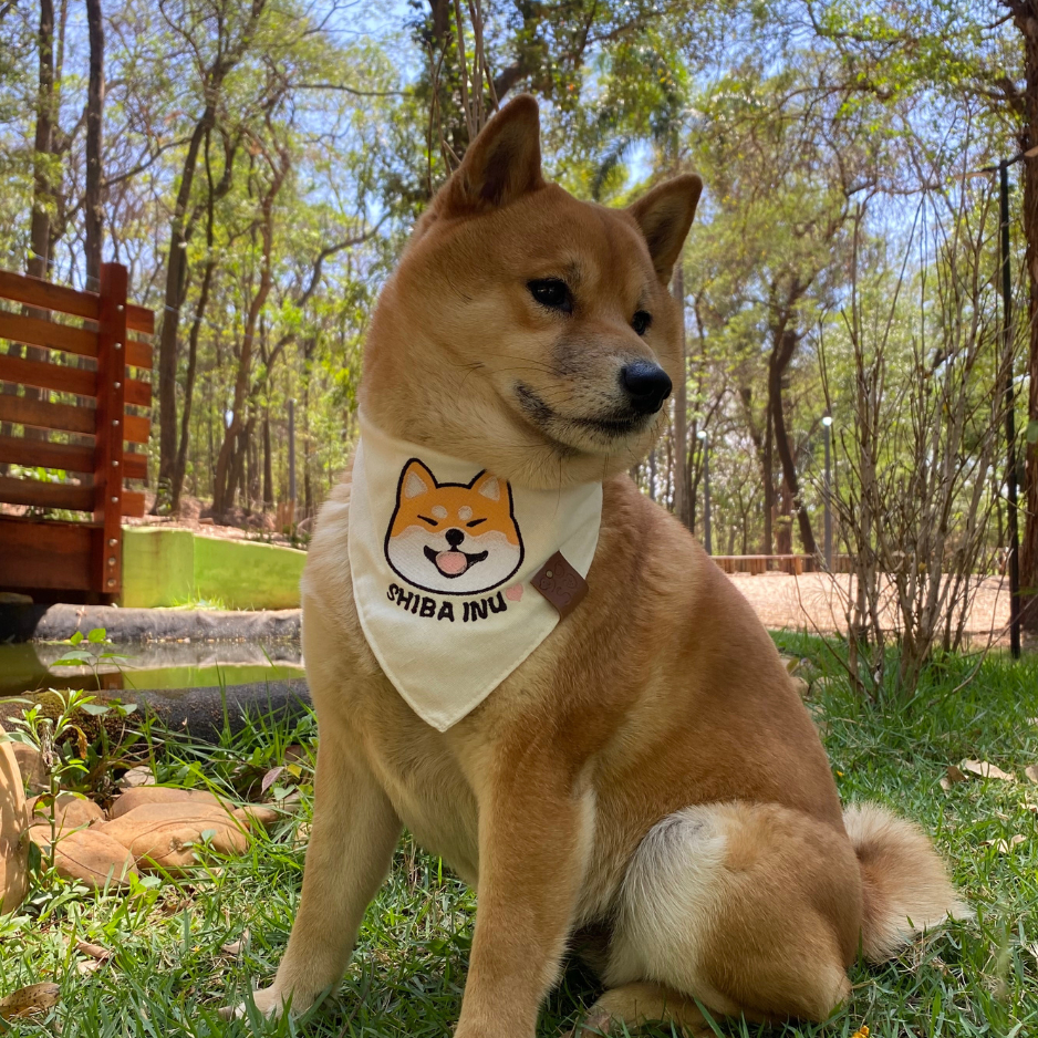 Bandana pet bordado Shiba Inu