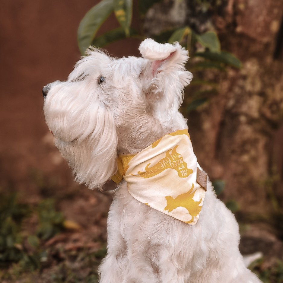 Bandana pet Salsichas