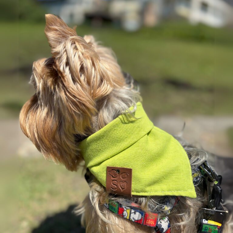 Bandana pet Verde Limão