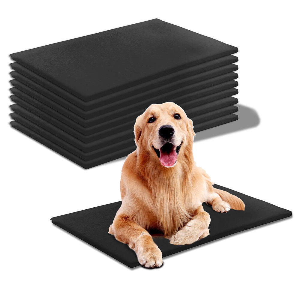 Kit 10 Colchonetes Pet Canil Espuma Impermeável BF Colchões