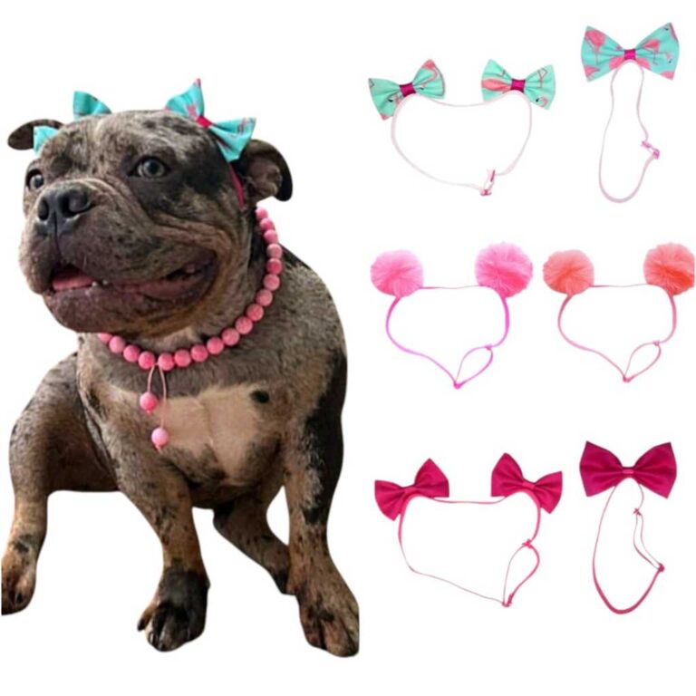 Laço Pet para Pêlo Curto para Cães Cachorra Fê