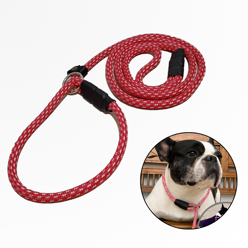 Guia Unificada para Adestramento de cães médios e grandes com até 2 metros