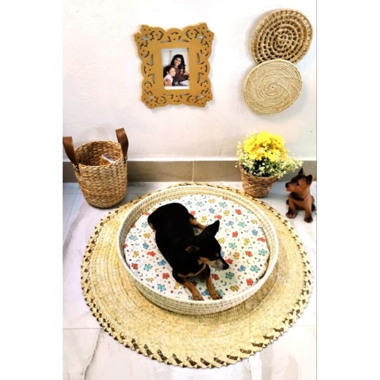 Kit Meu Pet Decoração e Aconchego Coisas Diferen