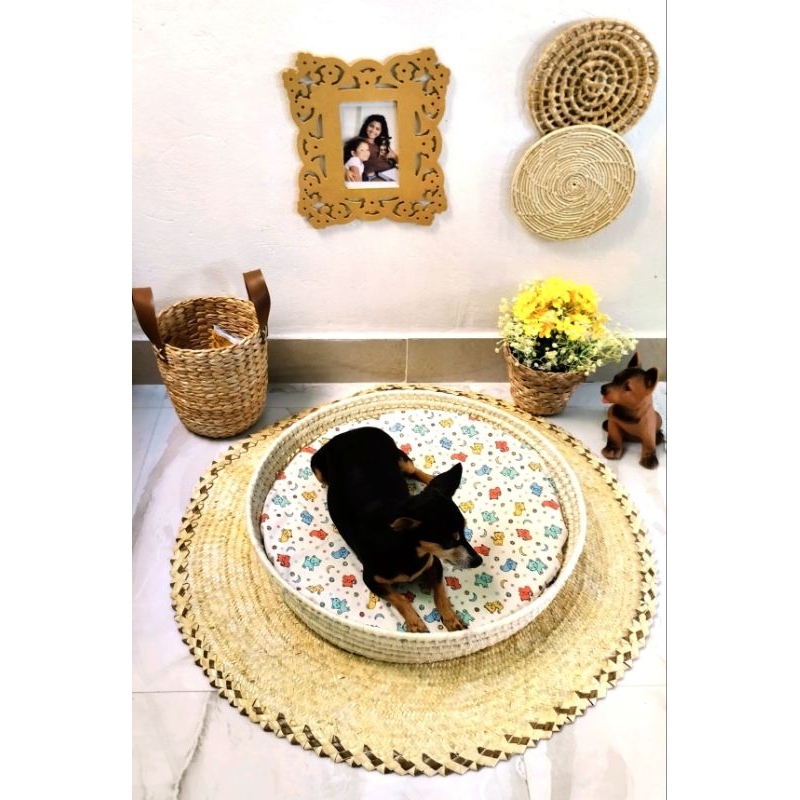 Kit Meu Pet Decoração e Aconchego Coisas Diferentes Para Casa Natal Decoração Elegante Artesanato