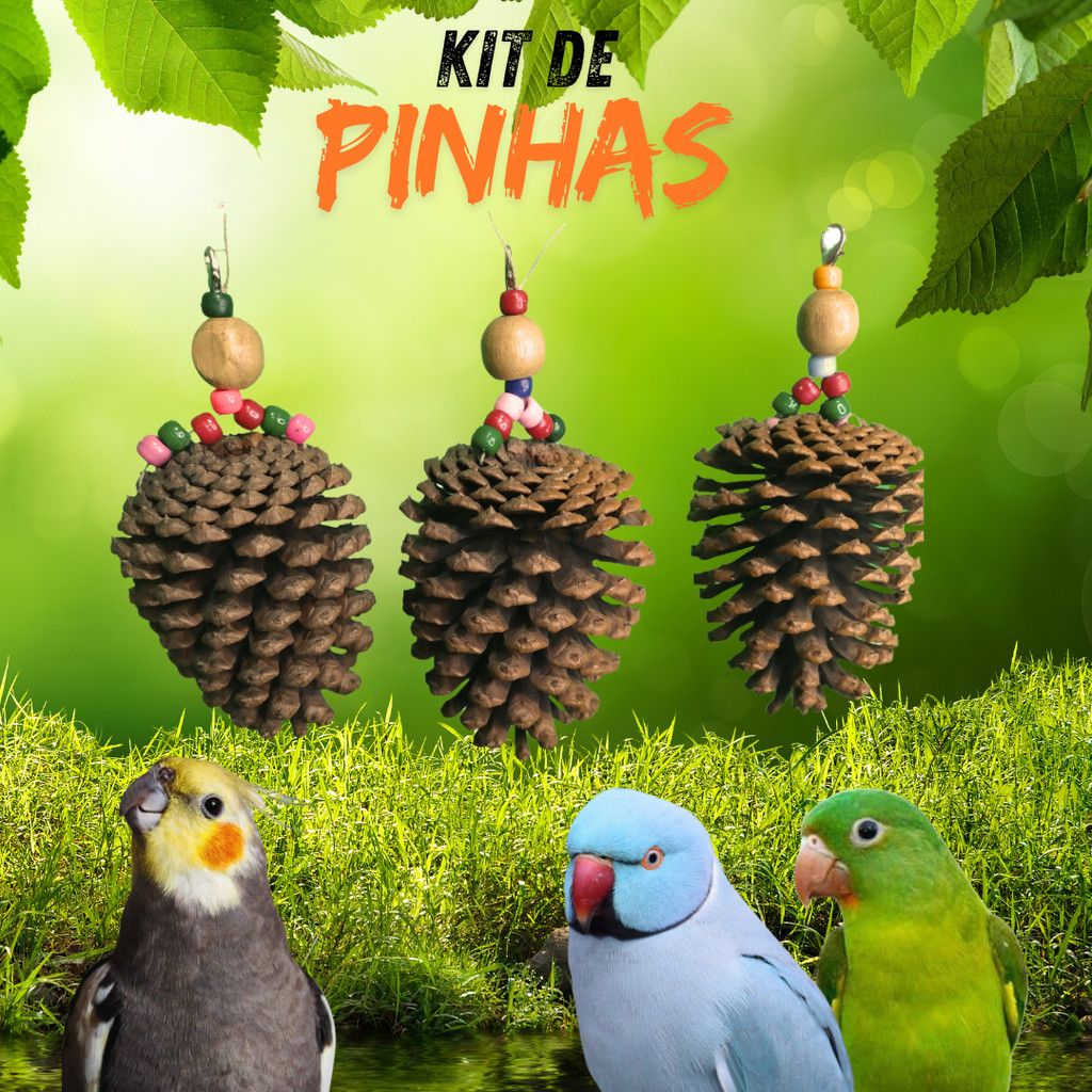 Brinquedo Penduricalho Pássaros  Kit Pinhas Calopsita, Agaporni, Periquito, Papagaio, Ring Neck