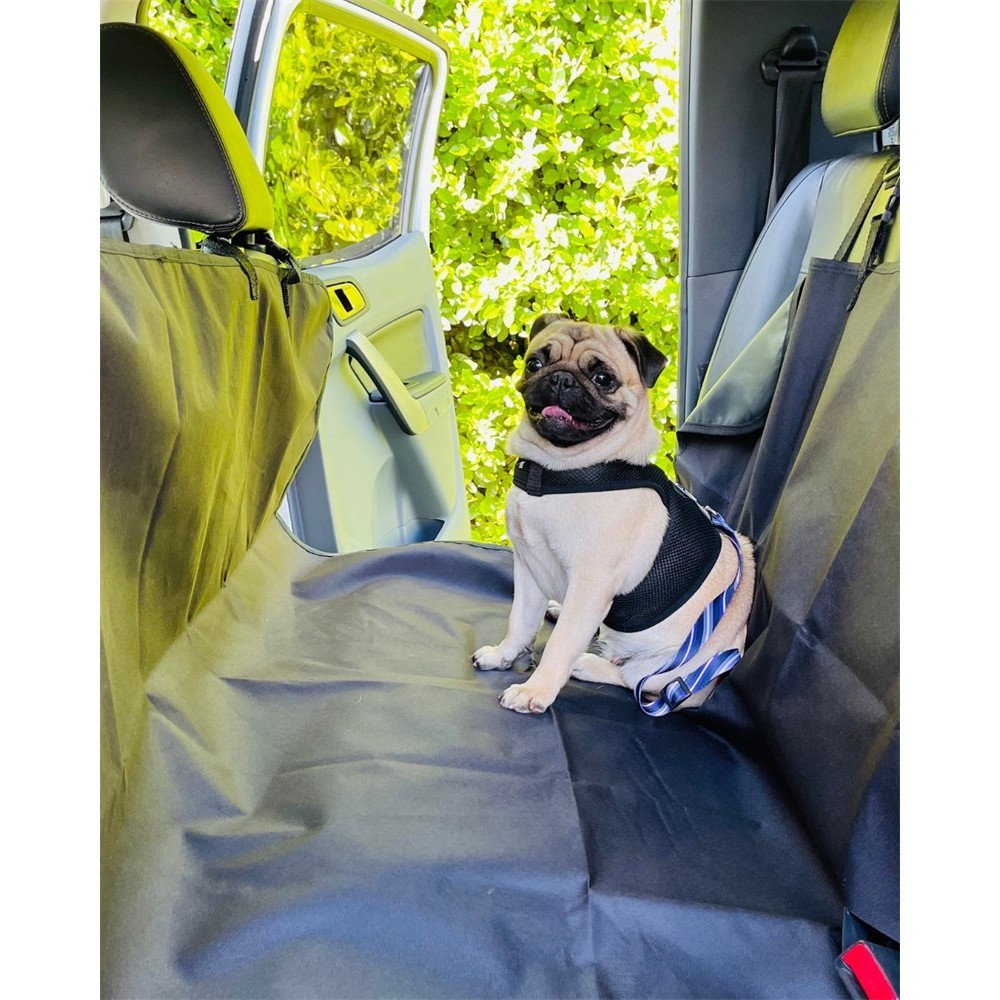 Capa Protetora de Banco