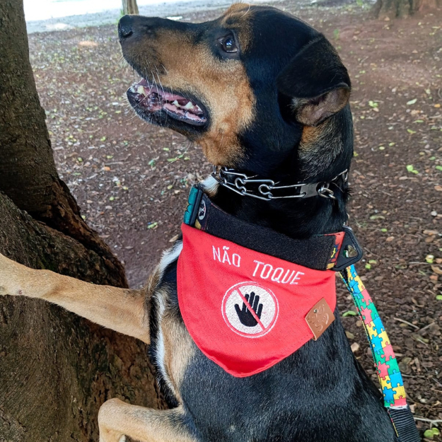 Bandana para pet com bordado não toque