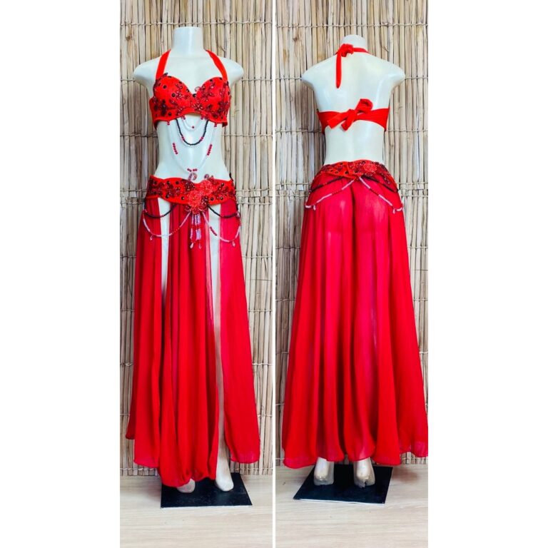 [Liquidação] Dança do Ventre Traje  Bordado Com