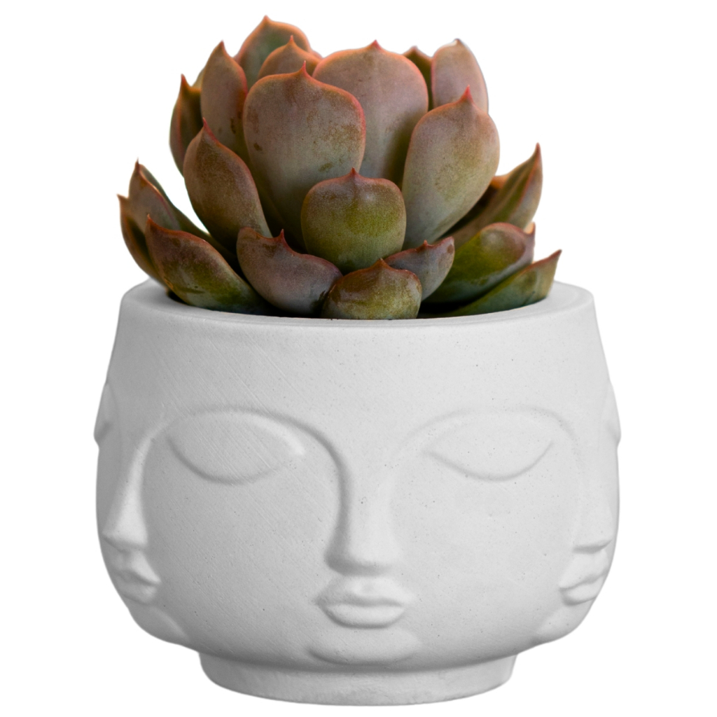 Vaso Decorativo Artesanal em Cimento para Plantas Naturais e Artificiais 10 Cm Tarsila