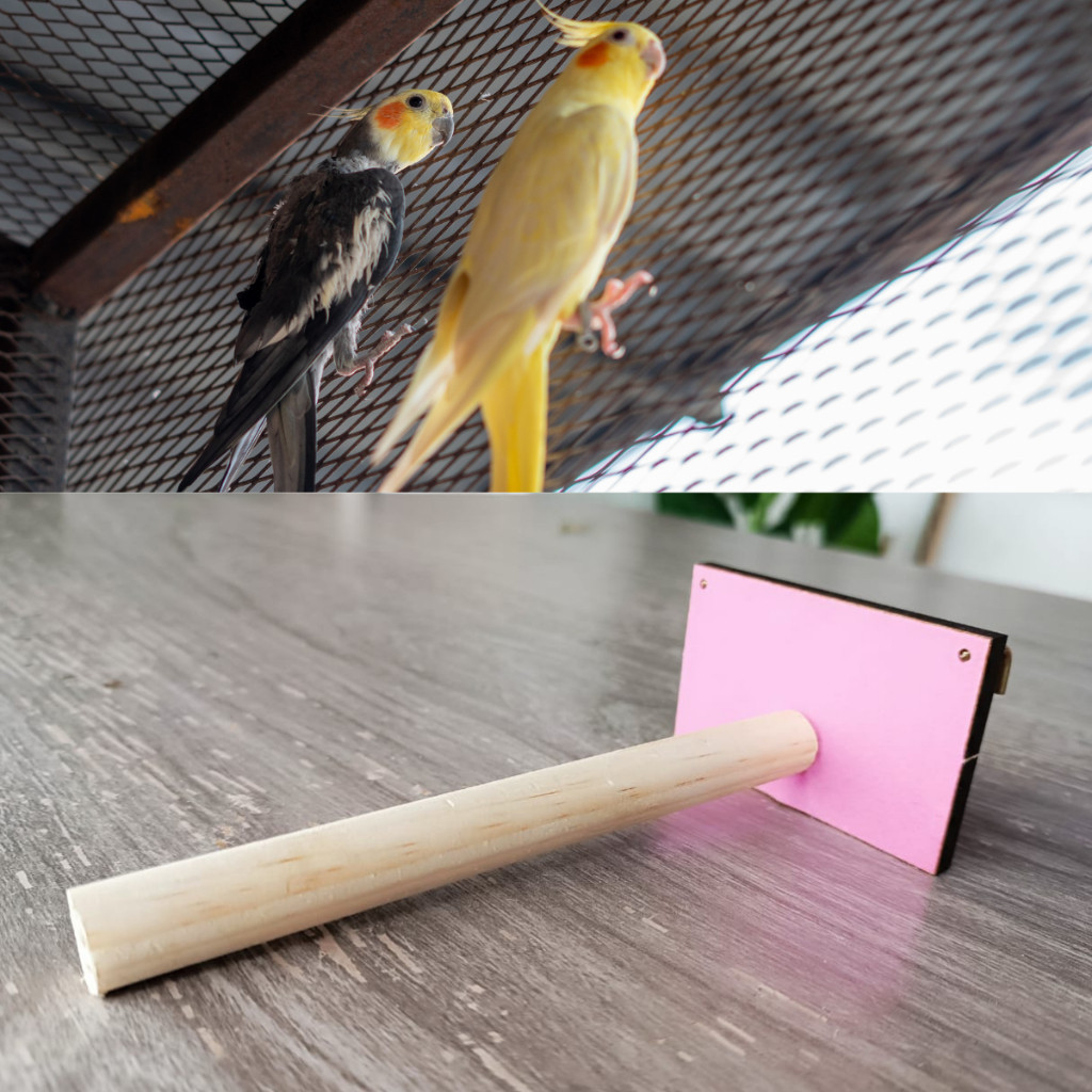 Poleiro de Madeira Natural para Gaiolas e Viveiros Ideal Calopsitas, Periquitos, Agapornis Papagaios