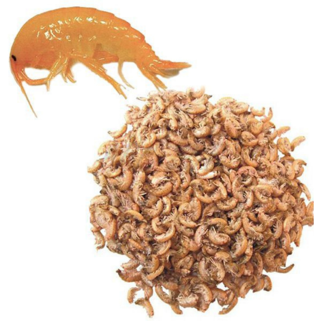 Ração Gammarus Liofilizado Alimento Natural Para Peixe e Tartarugas