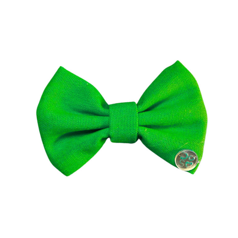 Lacinho pet Verde