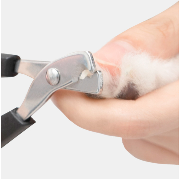 3 Maquina Para Tosar Tesoura De Unha Pet Profissio