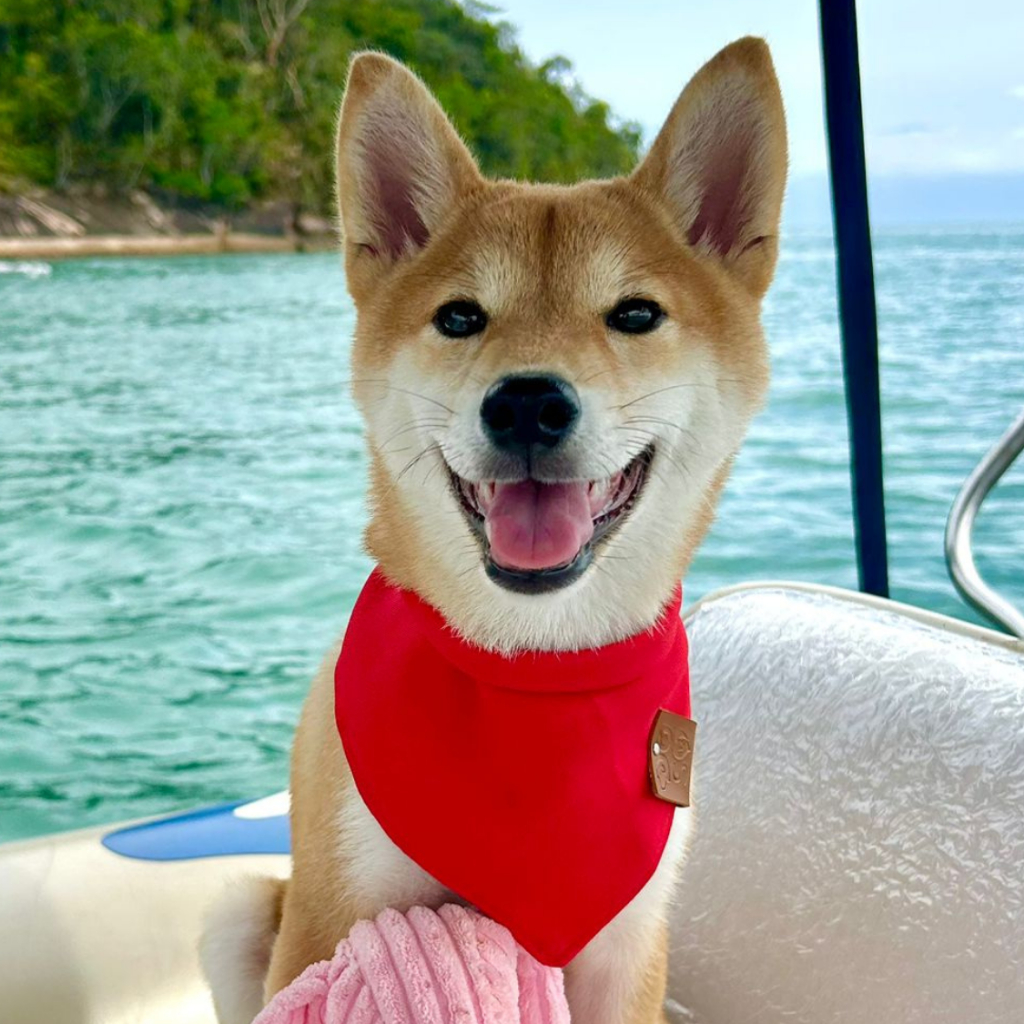 Bandana para pet na cor vermelha