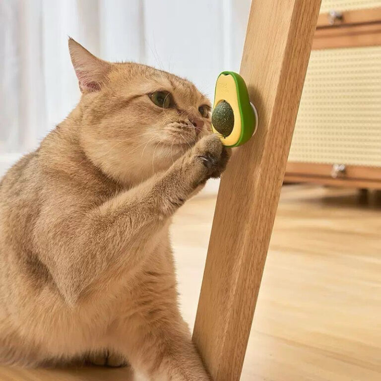 Abacate De Brinquedo Para Gatos Com Catnip Erva Ga