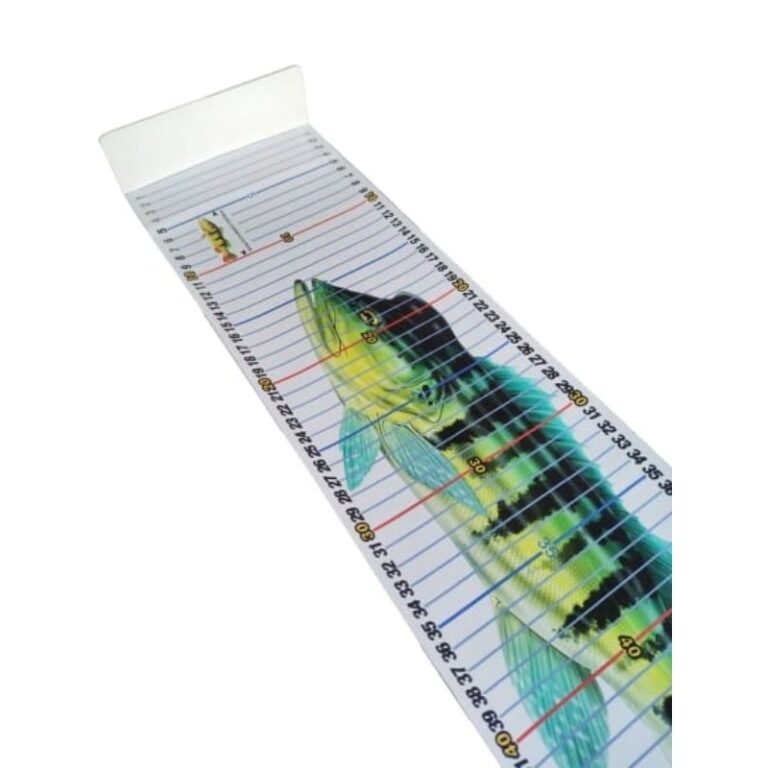 Régua de pesca pesca esportiva 70cm