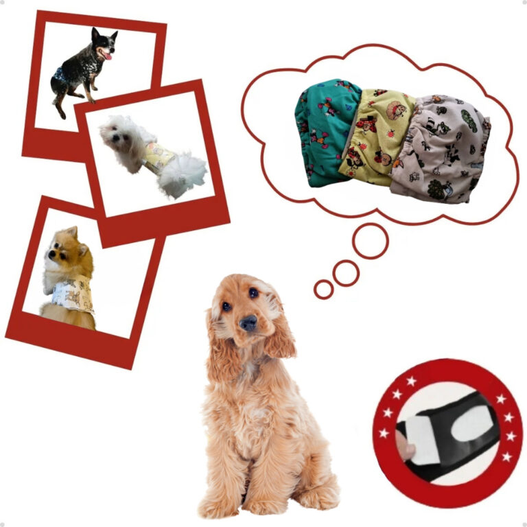 Kit 3 Fraldas Laváveis Para Cachorro Macho Reutil