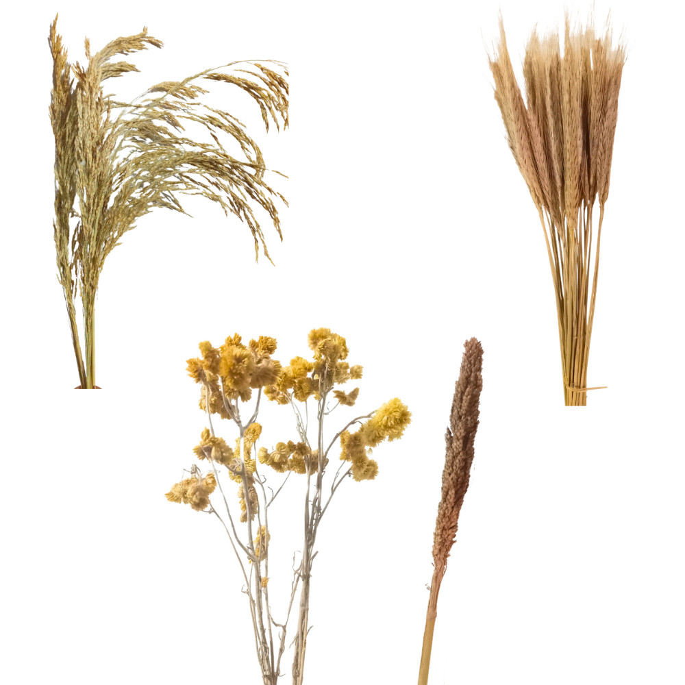 Kit 4 Sprays Naturais p/ Terrário Hamster e Roedores  Trigo Arroz Sorgo Marcela (Enriquecimento)