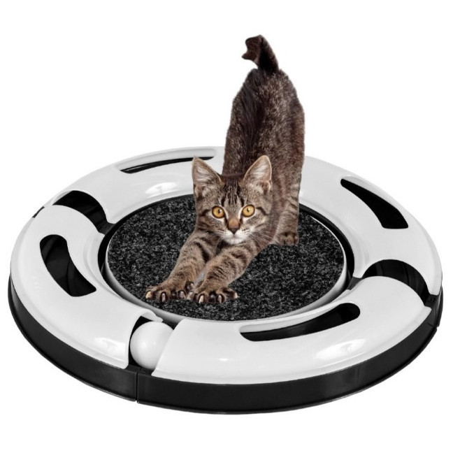 Arranhador Interativo Para Gato Cat Modelo Peixe A