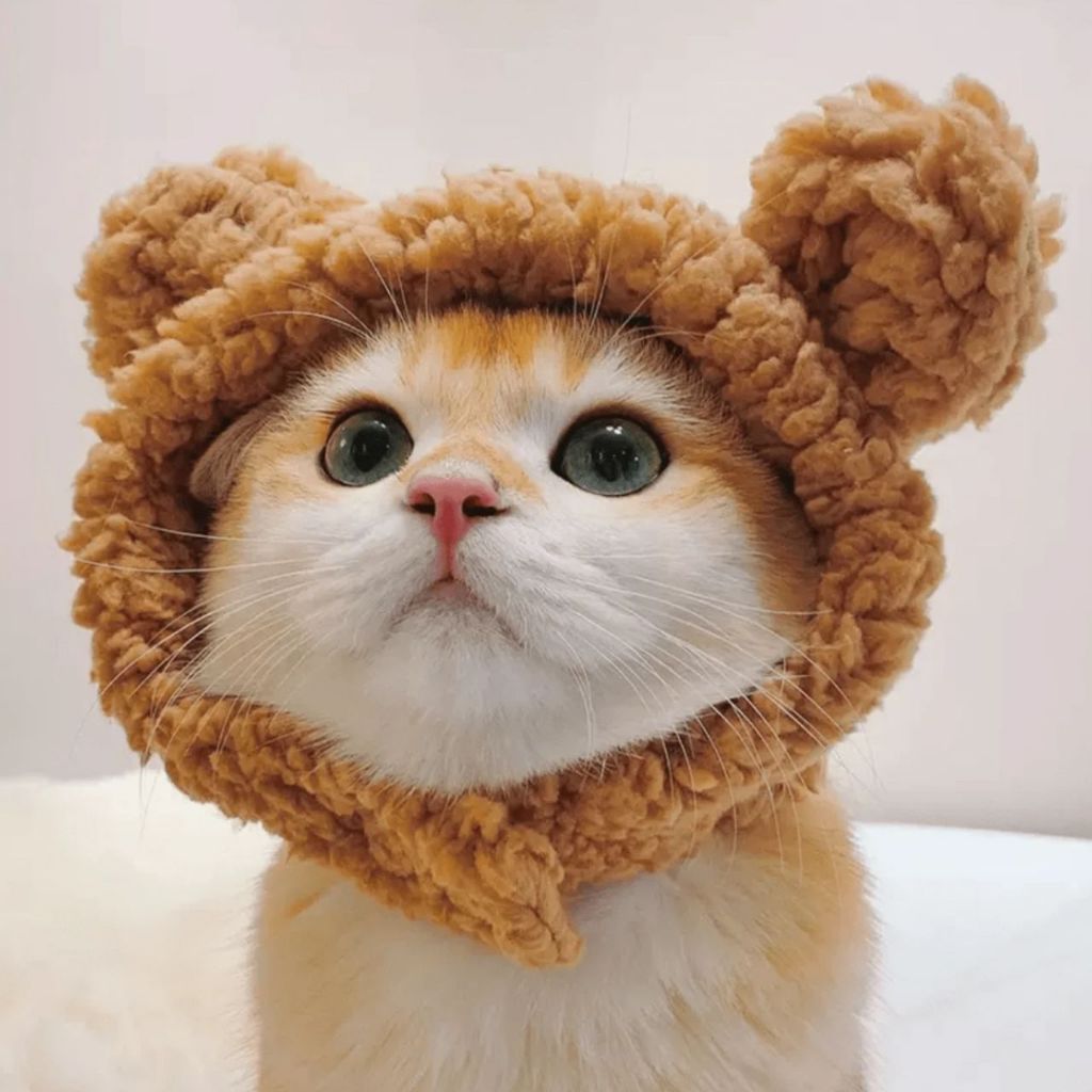 Touca ursinho para gato e cachorro