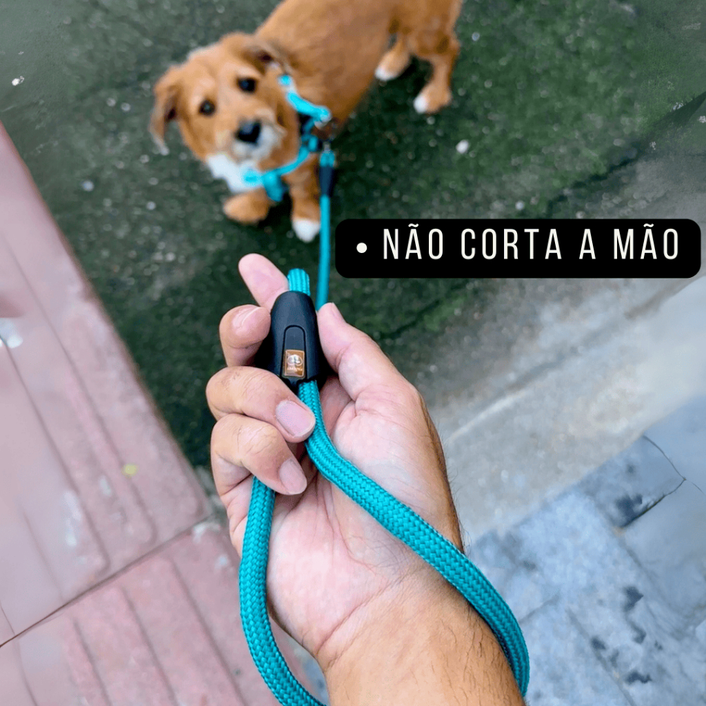 Guia longa de corda com 2 metros Mosquetão com trava Resistente Trela para passeios com cães