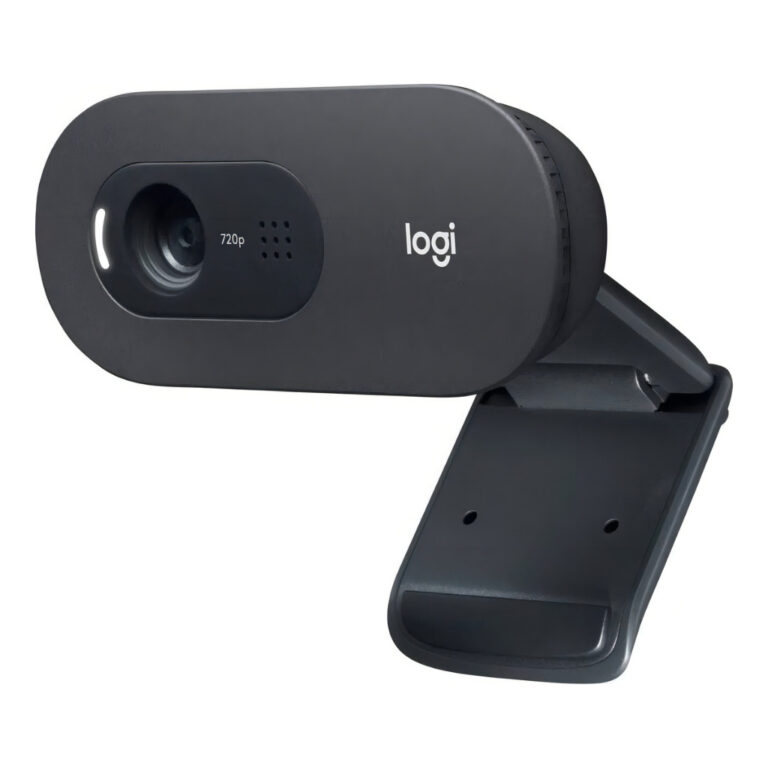 Câmera web Logitech C505e HD 30FPS cor preto