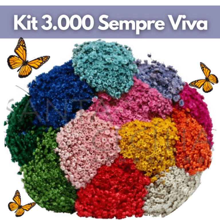 Kit Atacado Até 3.000 Florzinha Sempre Viva Natur