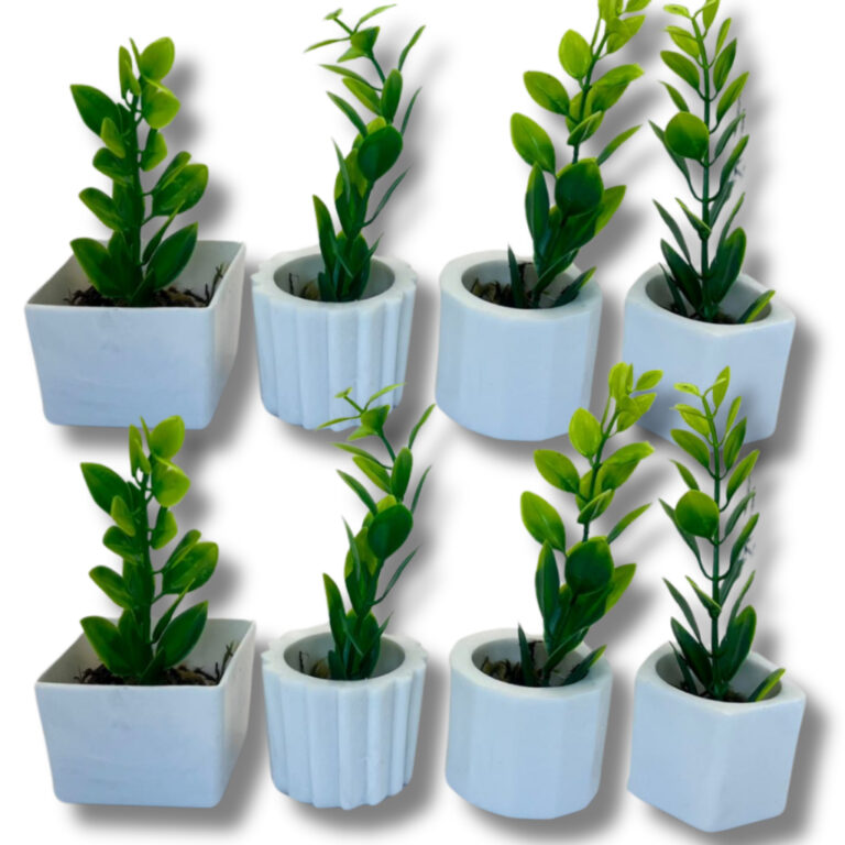 Kit 8 Vasinhos Decoração com Plantinhas