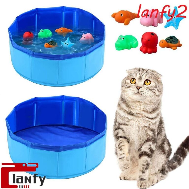 LANFY Brinquedo De Piscina Para Gatos , Tartaruga 