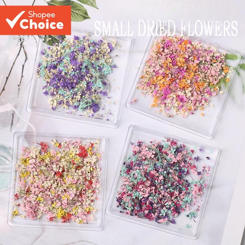 Ya Ya Yalayee [Acessórios de manicure] Estilo japonês misturado pequenas flores secas manicure peque
