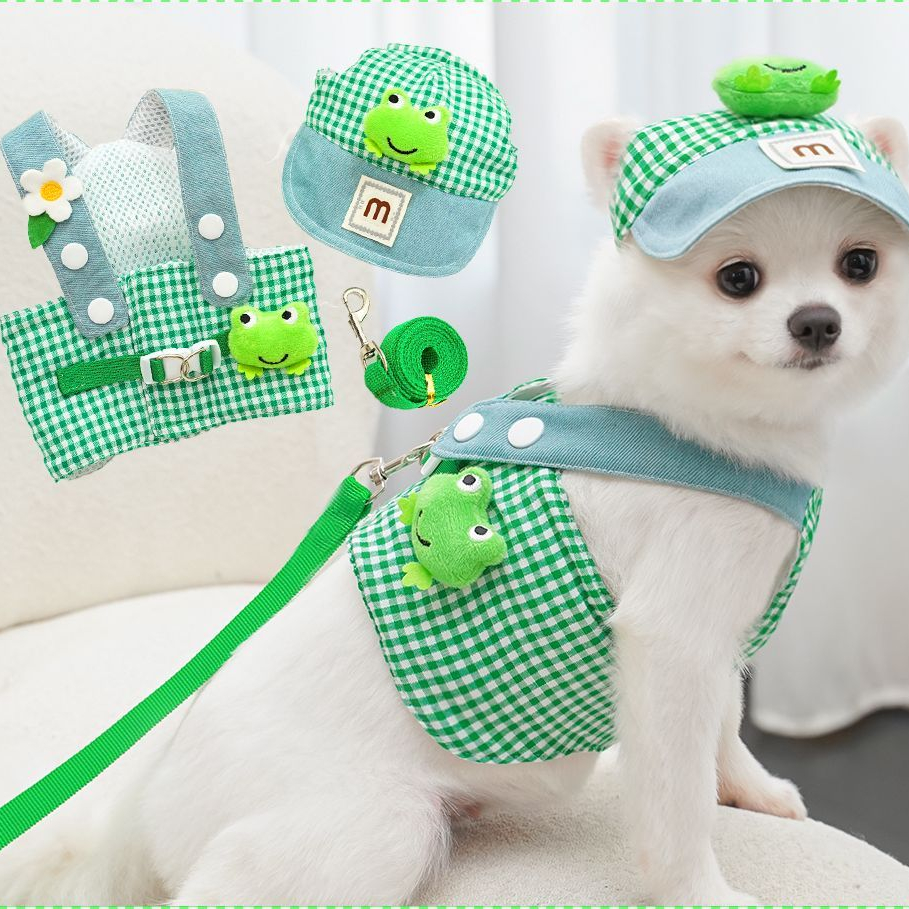 Trela pequena para cães de tamanho médio, desenho verde, suprimentos para passeios de verão