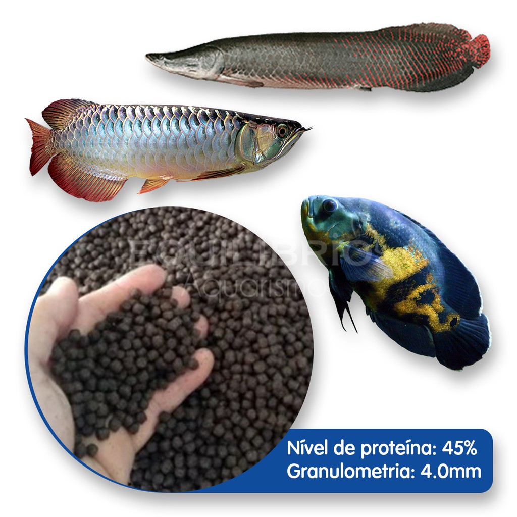 Ração p/ Peixes Carnívoros, Pirarucu, Oscar, Aruana e outros – 1 Kg