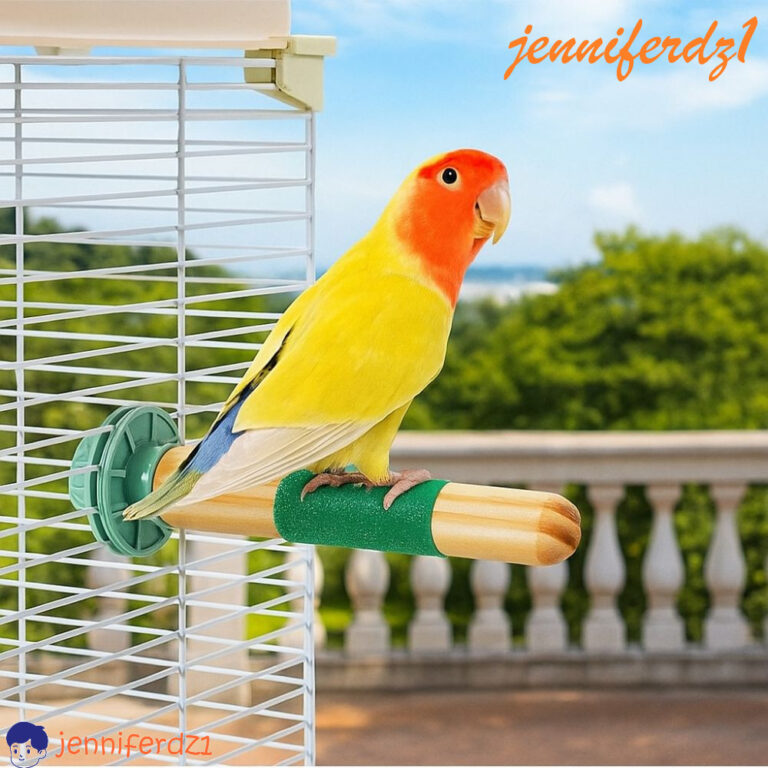 Pólo De Pé Para Papagaio JENNIFERDZ1 , Suporte D