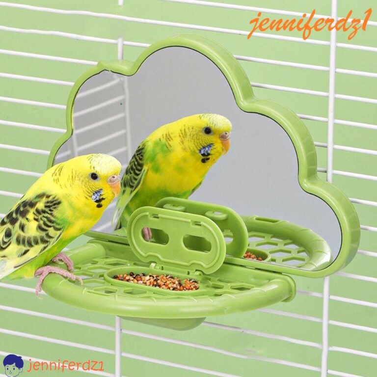 JENNIFERDZ1 Espelho Para Pássaros Com Poleiro , F