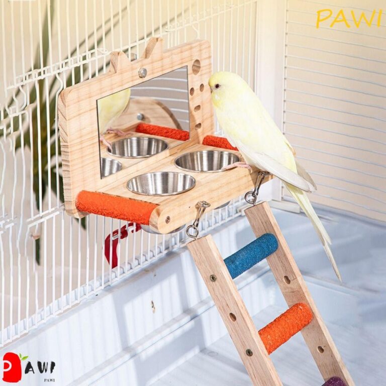 Plataforma De Papagaio PAWI , Poleiro De Copo De A